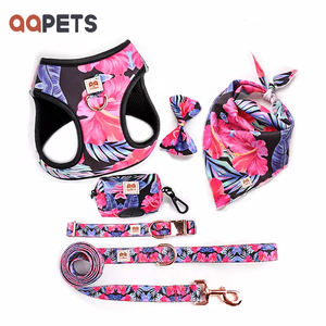 Set di imbracatura per gatti di lusso <span class=keywords><strong>2025</strong></span> con collare per cani in poliestere morbido traspirante con Logo stampato con fibbia in metallo - Product Image 1