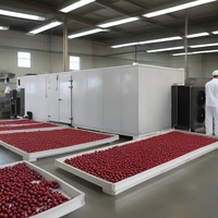 Secador de Alimentos Comercial HelloRiver 380V/220V con Bomba de Calor, Certificado CE, Controlado por PLC, Ahorro de Energía, Multifuncional para Procesamiento de Alimentos