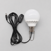 Ampoule LED DC5V pour usage extérieur avec câble de 2,8 m, prise DC5521, interrupteur marche/arrêt, crochet métallique pour un accrochage facile, IRC 80, 3000K/6500K