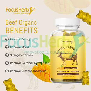 FocusHerb Gummies aux organes de bœuf nourri à l'herbe (foie, cœur, rein, pancréas, rate) - Product Image 4