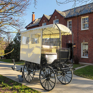 Maratón turístico, carruaje tirado por caballos - Product Image 4