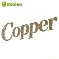 Enseigne 3D personnalisée XDsign à LED, effet ciel étoilé, lettres lumineuses à commande Bluetooth, signalétique extérieure certifiée CE, décoration lumineuse
