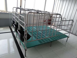 Nouveau lit de maternité de truie en acier galvanisé avec barre de stockage et barre de positionnement pour ensemble <span class=keywords><strong>d</strong></span>'<span class=keywords><strong>élevage</strong></span> à double usage pour l'<span class=keywords><strong>élevage</strong></span> de porcs - Product Image 6