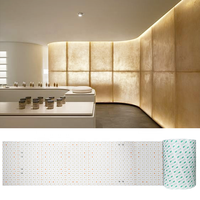 Feuilles LED flexibles ultra-minces de 10 m, panneau LED flexible pour 24 V, rouleau de papier silicone, feuille LED flexible pour la maison