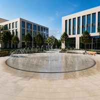 Fontaine interactive extérieure à plat, professionnelle, programmable, musicale, LED, en acier inoxydable, étanche IP68, pour aménagement paysager commercial