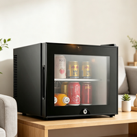 Mini-réfrigérateur thermoélectrique silencieux 20L avec porte vitrée, éclairage LED et affichage compact – Idéal pour hôtels, maisons et refroidissement de boissons