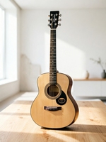 36-Inch Beginner Steel String Folk Guitar, Acoustic Guitar for Music Lessons & Home Practice, China Wholesale Musical Instrument