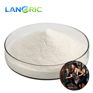 Proteína de Suero de Leche Aislada Instantizada Premium Baja en Grasa, WPI 90%, WPC 80%, Concentrado de Proteína de Suero de Leche en Polvo para Nutrición Deportiva - Product Image 2