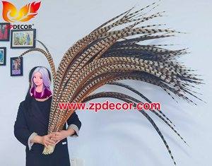 Nhà Máy Bán Buôn Từ Zpdecor 150-160 Cm Siêu Dài Tự Nhiên Reeves Gà lôi Đuôi Lông Cho Lễ Hội Trang Phục - Product Image 3