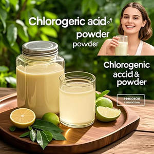 معتمد من جميع مسحوق خلاصة حبوب البن الخضراء الطبيعية مسحوق حمض الكلوروجينيك للعلاجات الطبيعية - Product Image 4