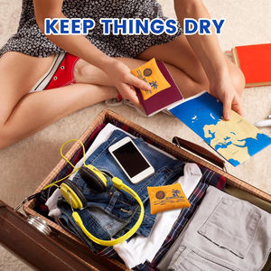 100g Rechargeable Écologique <span class=keywords><strong>D</strong></span>éshydratant Sacs Stockage Couleur Indiquant Silicone Sac <span class=keywords><strong>Absorbeur</strong></span> <span class=keywords><strong>D</strong></span>'<span class=keywords><strong>humidité</strong></span> Visible Fenêtre - Product Image 6