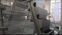 Système d'élevage de poulettes entièrement automatique de type A avec cages de couvaison à étages