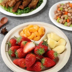 Assiettes en papier compostables de canne à sucre biodégradables jetables de 9 pouces blanches - Product Image 1