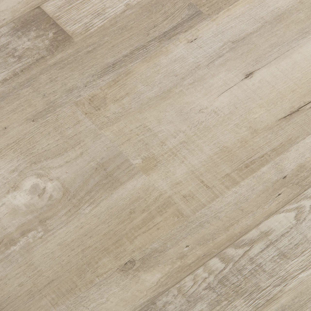 สีดำสีกากี