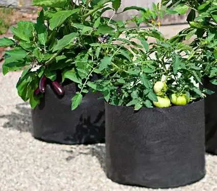 Stock de 1-400 galones con bolsas para plantar