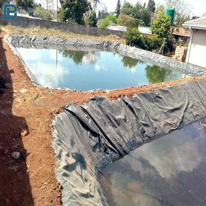 Geomembrana HDPE Impermeabile ed Ecologica a Basso Costo per Rivestimento di Laghetti Artificiali, 200-1500 Micron, Nera, Durata 5+ Anni - Product Image 5