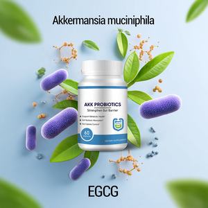 Cápsulas prebióticas OEM Akkermansia Muciniphila que mejoran la salud intestinal y alivian los <span class=keywords><strong>problemas</strong></span> digestivos para una salud intestinal saludable - Product Image 2