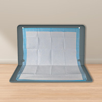 Couche transfrontalière pour animaux de compagnie Couche de formation en silicone imperméable pour chiot Article de soins pour chien lavable avec motif solide