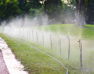 WFC <strong>Micro</strong> Female Butterfly PVC <strong>Sprinkler</strong> for Agricultural <strong>Irrigation</strong> System - Product Image 3