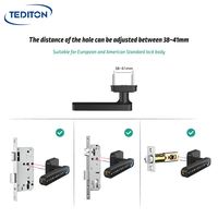 Serrure de porte intelligente Tediton Wifi, téléphone mobile, porte en bois, poignée à capteur d'empreintes digitales à distance, serrures électroniques