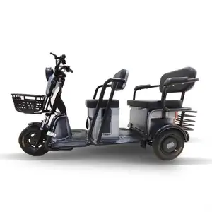 Putian Top Fashion Digital Tuk Cargo Tricycle Chassis Recreational Electric Manufacturer In China