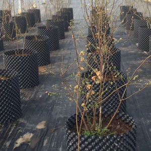 Контейнер для выращивания растений/пластиковый цветочный горшок с корневым контролем, воздушный горшок 40*40, ПЭ корневые горшки - Product Image 5