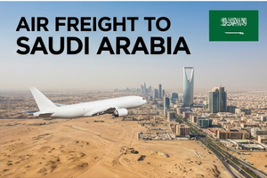 <span class=keywords><strong>Service</strong></span> de fret aérien express vers Dubaï, Émirats arabes unis, et transbordement vers Oman, Bahreïn, Koweït - Product Image 5