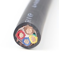 Câble personnalisé en cuivre massif isolé en PVC, fil flexible pour applications industrielles et automobiles, 450V 5*4 mm