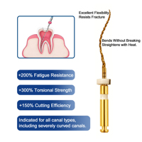 WELLER Fils endodontiques rotatifs Super Canal Root Golden Files en Nickel-Titane Classe II, longueur de travail 21mm/25mm, pour laboratoire, NITI Endodontie Pro