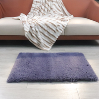 Personnalisé Solide Couleur Polyester Doux Sentiment Carrés Plancher Bas Pile En Peluche Moelleux Tapis Pour Salon