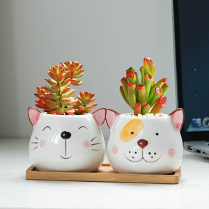 Maceta de Cerámica con Forma de Animalito, Linda y de Dibujos Animados, para Plantas Verdes, Decoración de Escritorio - Product Image 4