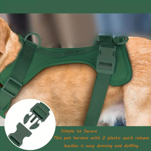 Mehrfarbiges Haustierzubehör Hundeband Leinanhäufel für Hunde Outdoor einstellbares einfarbiges Hundeband- und Leinenset - Product Image 5