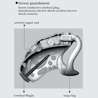 Ein elektrischer Keuschheitskäfig mit 5 Ringen und 2 Schlüsseln, Fernbedienung und APP-Steuerung, 10 Vibrations- und Elektroschockfrequenzen.