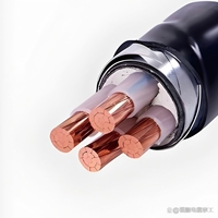 Câble d'alimentation industriel YUWAN YJV3*16+1*10 450V basse tension 3*16+1*10 en cuivre pur avec gaine PVC, ignifuge classe C 90°C pour bâtiment
