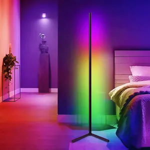 Manufacturer Wholesale Smart Home Decor Lighting Rgbic Standing Corner Led Modern Floor Lamp