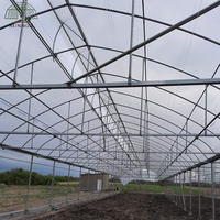 Serre agricole de Chine, usine de serres SUNSGH