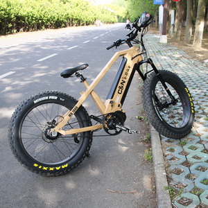 New Style Dual Battery Ebike Mid Drive 48V 1000W Belt Drive Electric Fat Bike Bicycle - Product Image 6