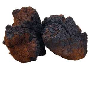 Kayu Birch Inonotus Obliquus jamur <span class=keywords><strong>Chaga</strong></span> pembekuan seluruh jamur <span class=keywords><strong>Chaga</strong></span> kering - Product Image 4