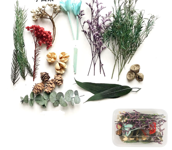 Flower and fruit pine-44g