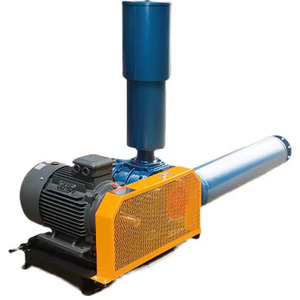 2024 High Pressure Cast Iron Stainless Steel Roots <strong>Blowers</strong> for Biogas <strong>Gas</strong> Separation 220V DC Electric Current OEM Customizable - Product Image 2