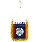 Banderas Personalizadas para Autos, Pequeños Banderines para Ventana con Mástiles de Fibra de Vidrio e Impresión Digital, Decoración para Espejo Retrovisor - Product Image 6