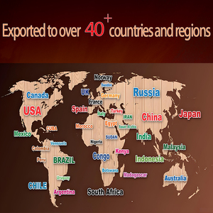 Phân vùng khung kính rõ ràng với thiết kế mờ cho sự riêng tư văn phòng cho những nơi công cộng như trung tâm mua sắm bệnh viện văn phòng - Product Image 6