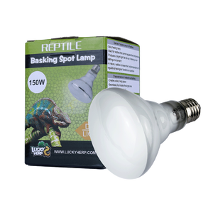 Lámpara de Calor Halógena UVA en Oferta <span class=keywords><strong>para</strong></span> Anfibios y <span class=keywords><strong>Reptiles</strong></span>, Luces de Plástico <span class=keywords><strong>para</strong></span> Mascotas, Productos <span class=keywords><strong>para</strong></span> <span class=keywords><strong>Reptiles</strong></span> - Product Image 3