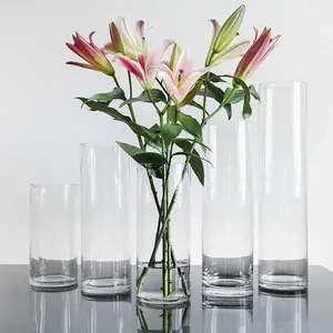 Kleine durchmesser gerade einfache transparent und klar glas vase für Dekoration