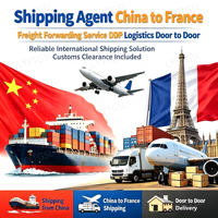 Service d'agent de fret à livraison rapide vers l'entrepôt en France : Express aérien DDP FedEx EXW Nice FBA Marseille