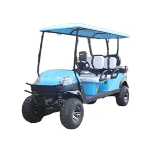 中国製電池式2人乗り電動ゴルフカートスタイルD新エネルギー電気自動車
