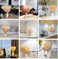 Penjualan Laris Dekorasi Bunga DIY Bulrush Reed Grass Filler Dekorasi Rumah Pernikahan Rumput Pampas Bunga Kering Rumput Pampas Kering