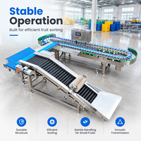 Multifunctionele fruitselectiemachine geschikt voor passievrucht, papaja, sinaasappel en andere landbouwvruchten