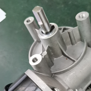 WEWINMOTOR 50 Wát 100 Wát 200 Wát Worm Gear Reductor Tùy Chọn 10nm 20nm 40nm 50nm Dc 12 Volt Động Cơ Giá - Product Image 3