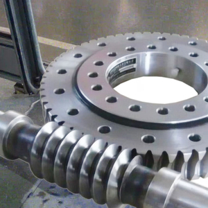 Custom <strong>Precision</strong> Wheel Gear Box <strong>Worm</strong> Motor <strong>Worm</strong> Gear Shaft CNC Machining Gear - Product Image 1